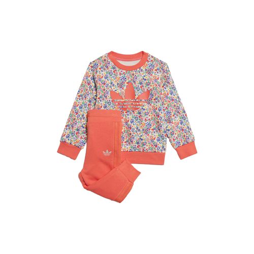 Conjunto Niños adidas Crew