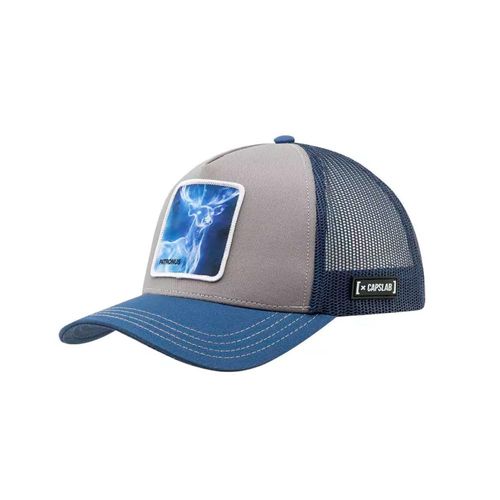 Gorra Unisex Capslab Harry Potter
