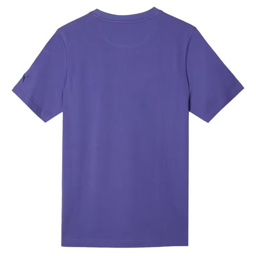 Remera Hombre Puma Wardrobe