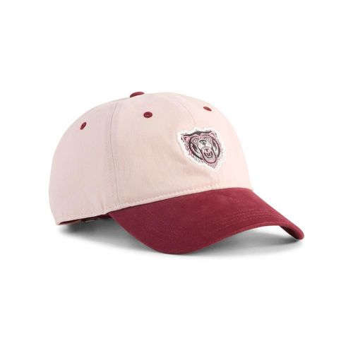 Gorra Unisex Puma Graphic Dad