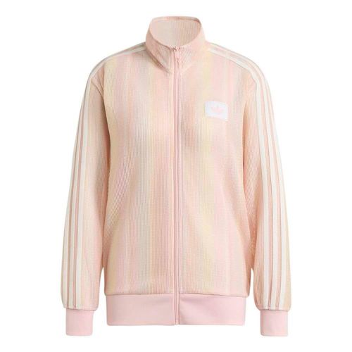 Campera Mujer adidas Knit Firebird