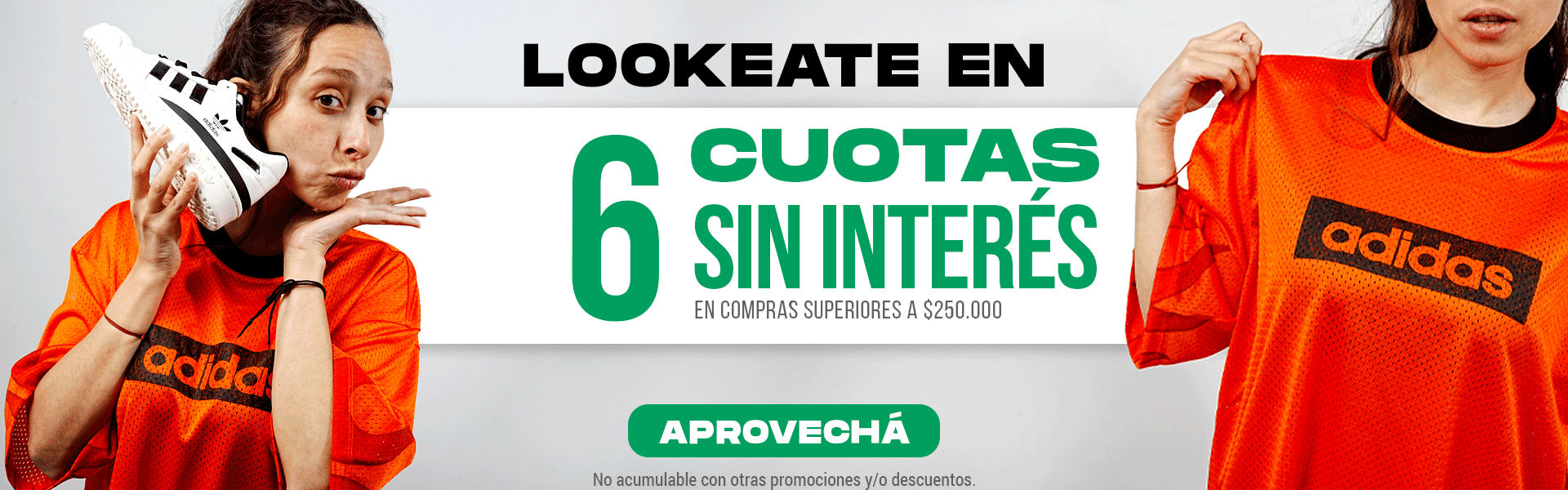 6 CUOTAS SIN INTERES​