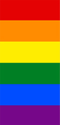 Banner Multicolor